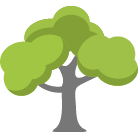 Katy Tree Removal Service