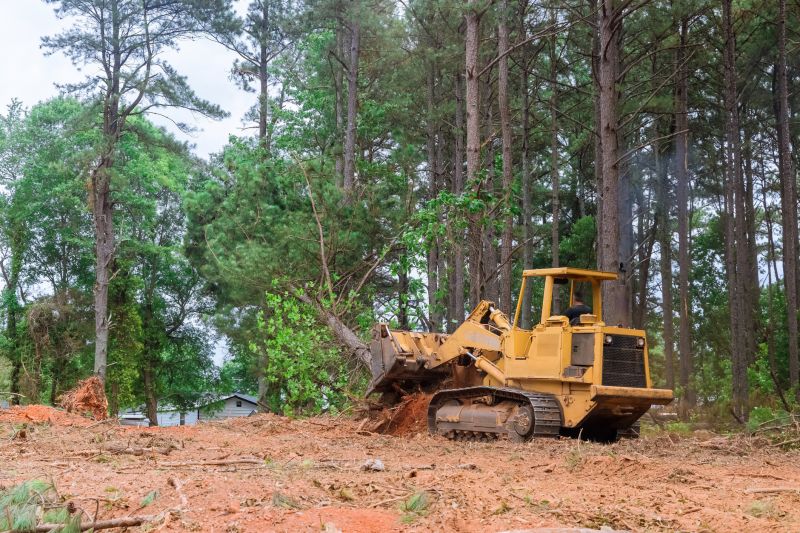 Efficient Land Clearing